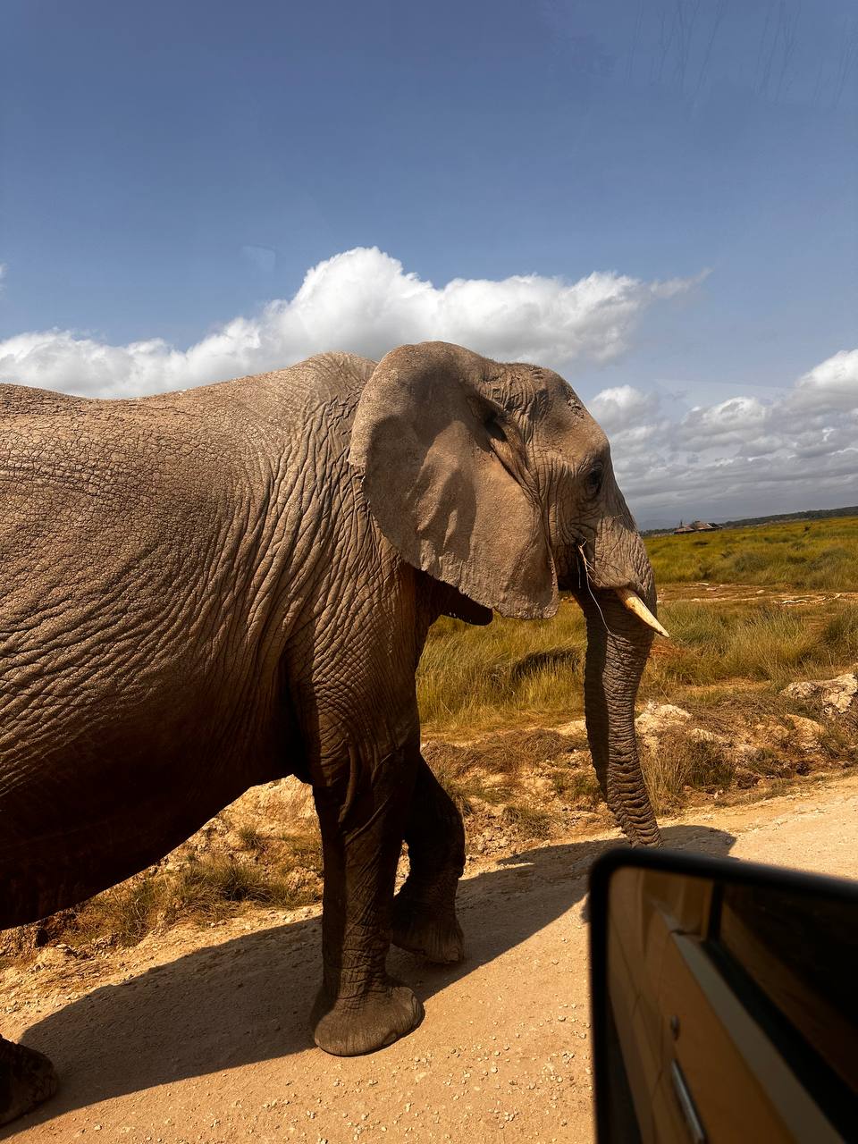 Amboseli