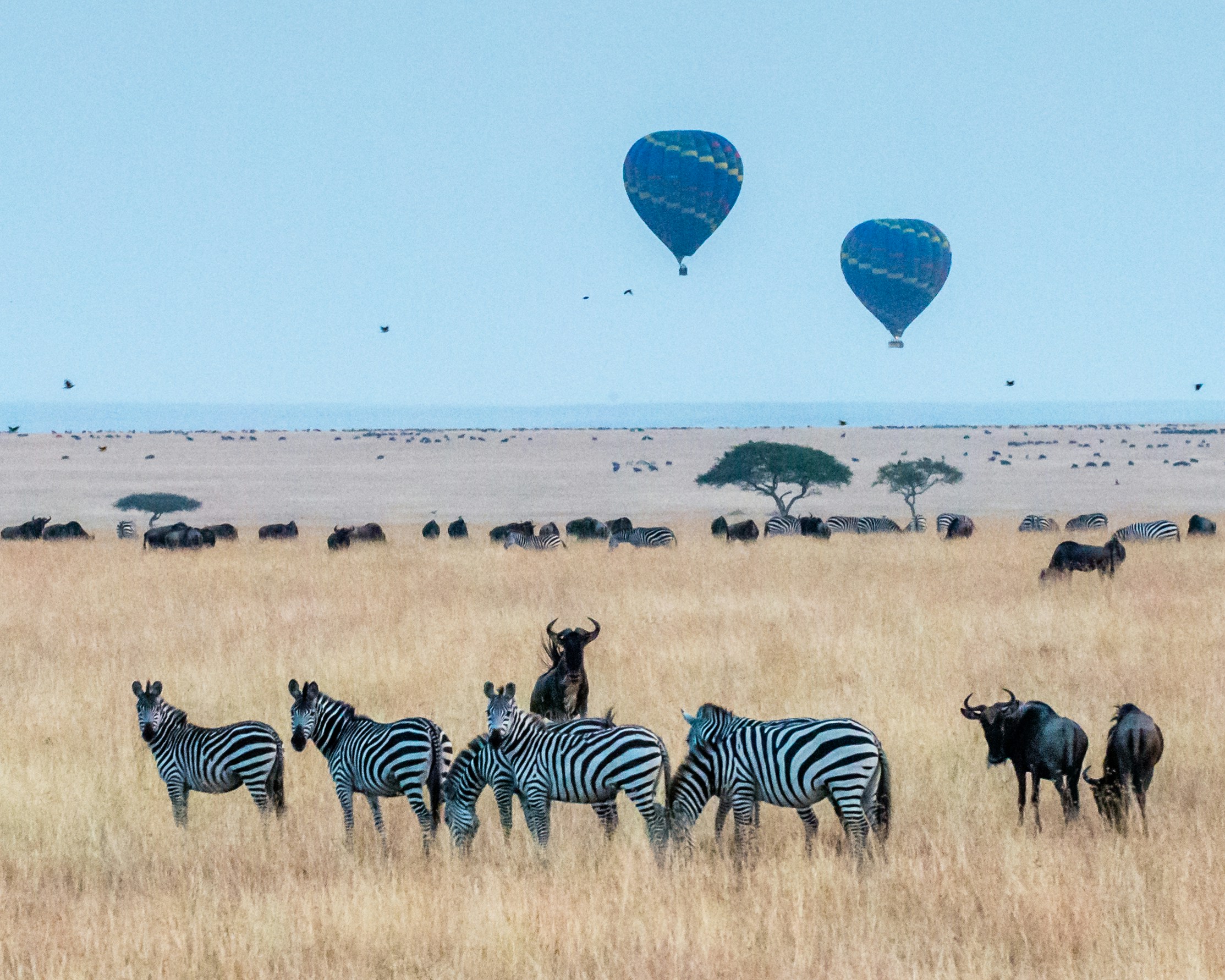 Hot air balloon safari over the Maasai Mara