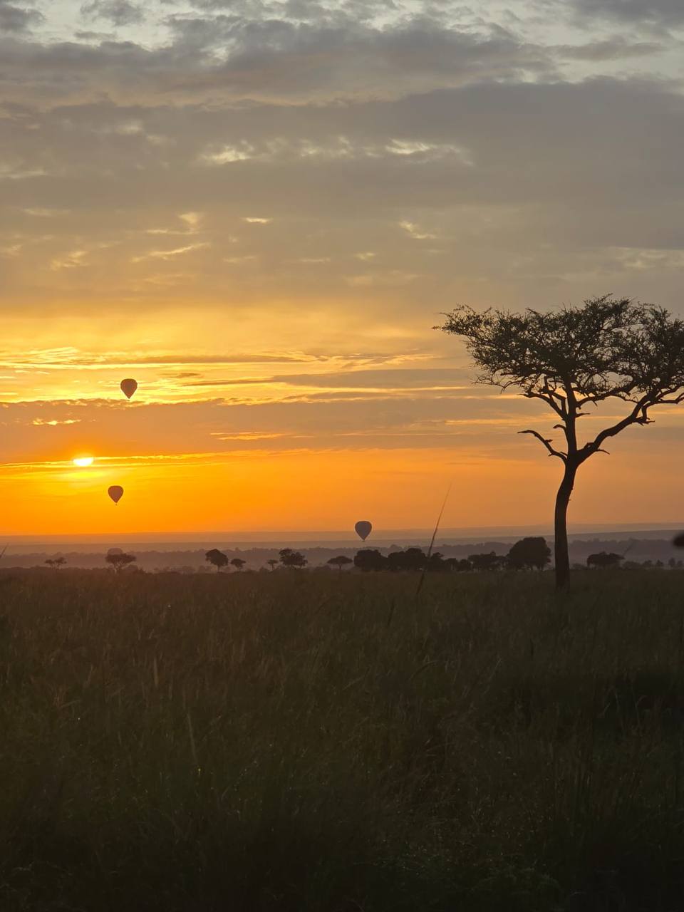 Balloon Safari Sunset