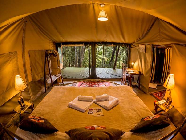 Great Migration Safari